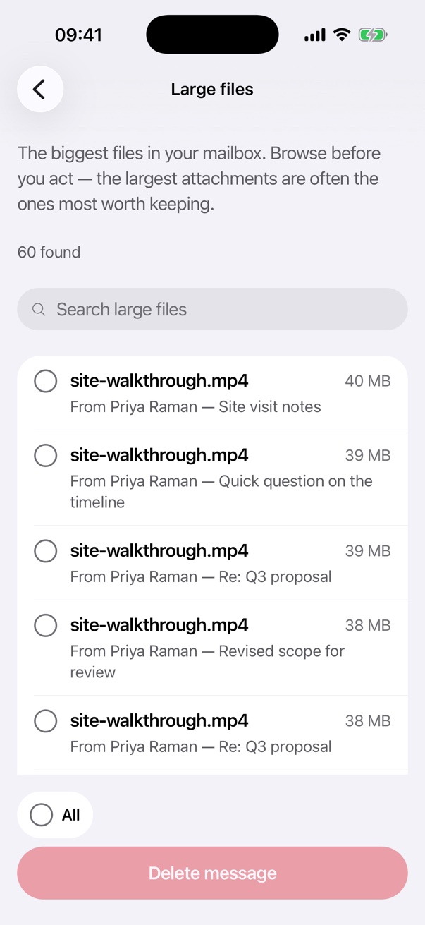 The Large files tool: the biggest attachments in the mailbox, none ticked until you choose.